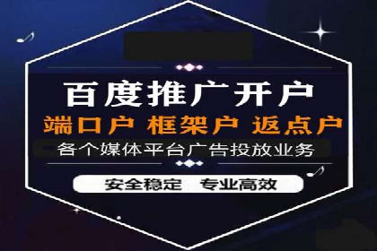 百度竞价排名之成功案例：看广告如何转化为销量